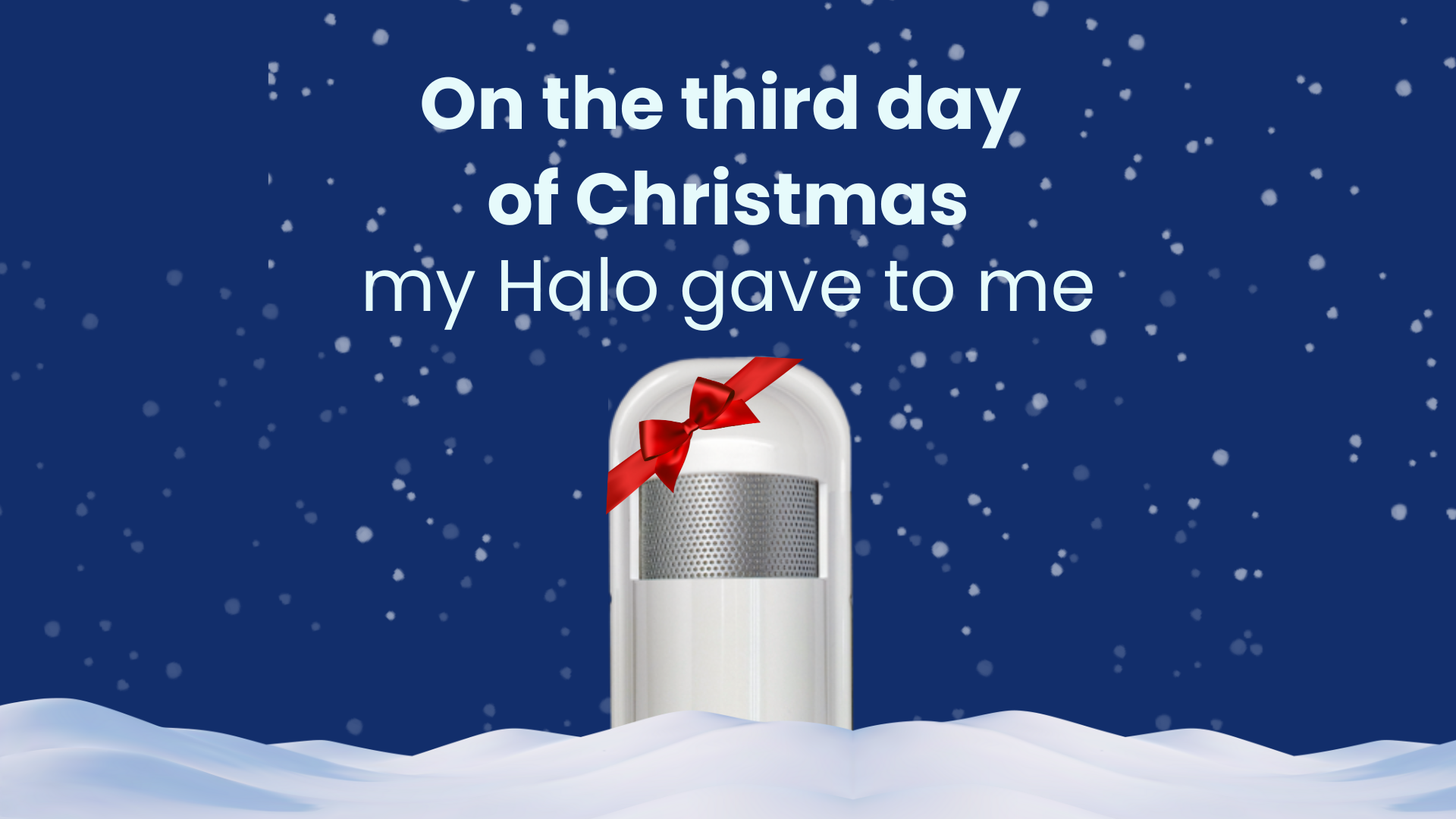 On the third day of Halo Christmas | Halo’s Leak Detection Sensor